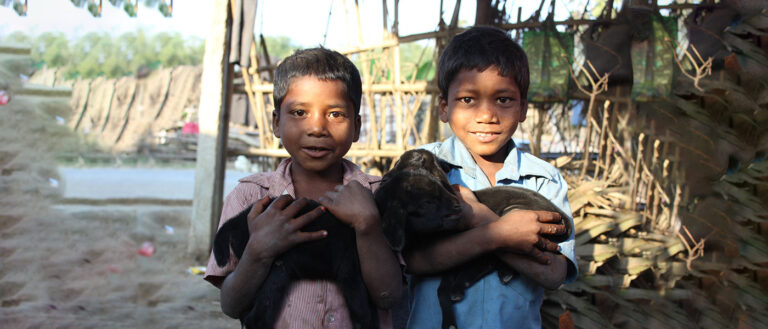 Boys with goats